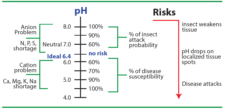 PH of plant Tissue