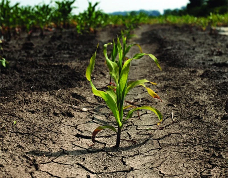 K in soil 01